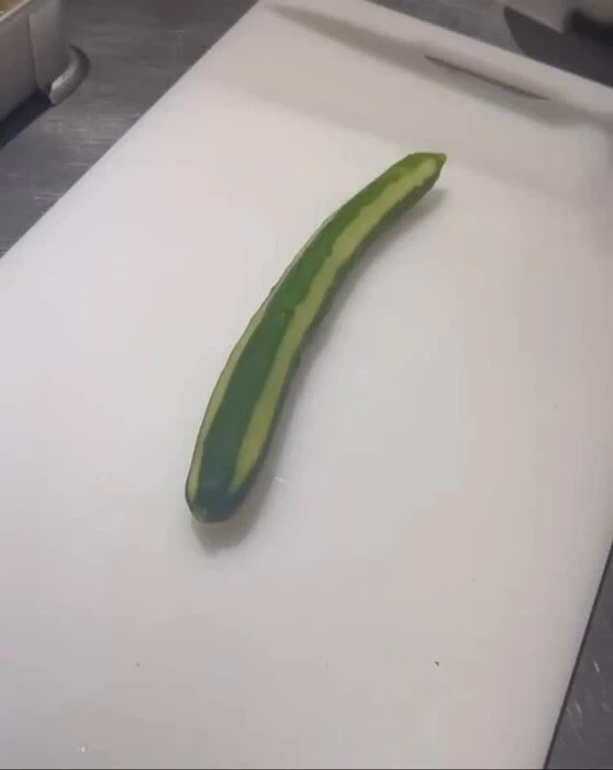 画像276