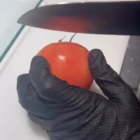 画像278